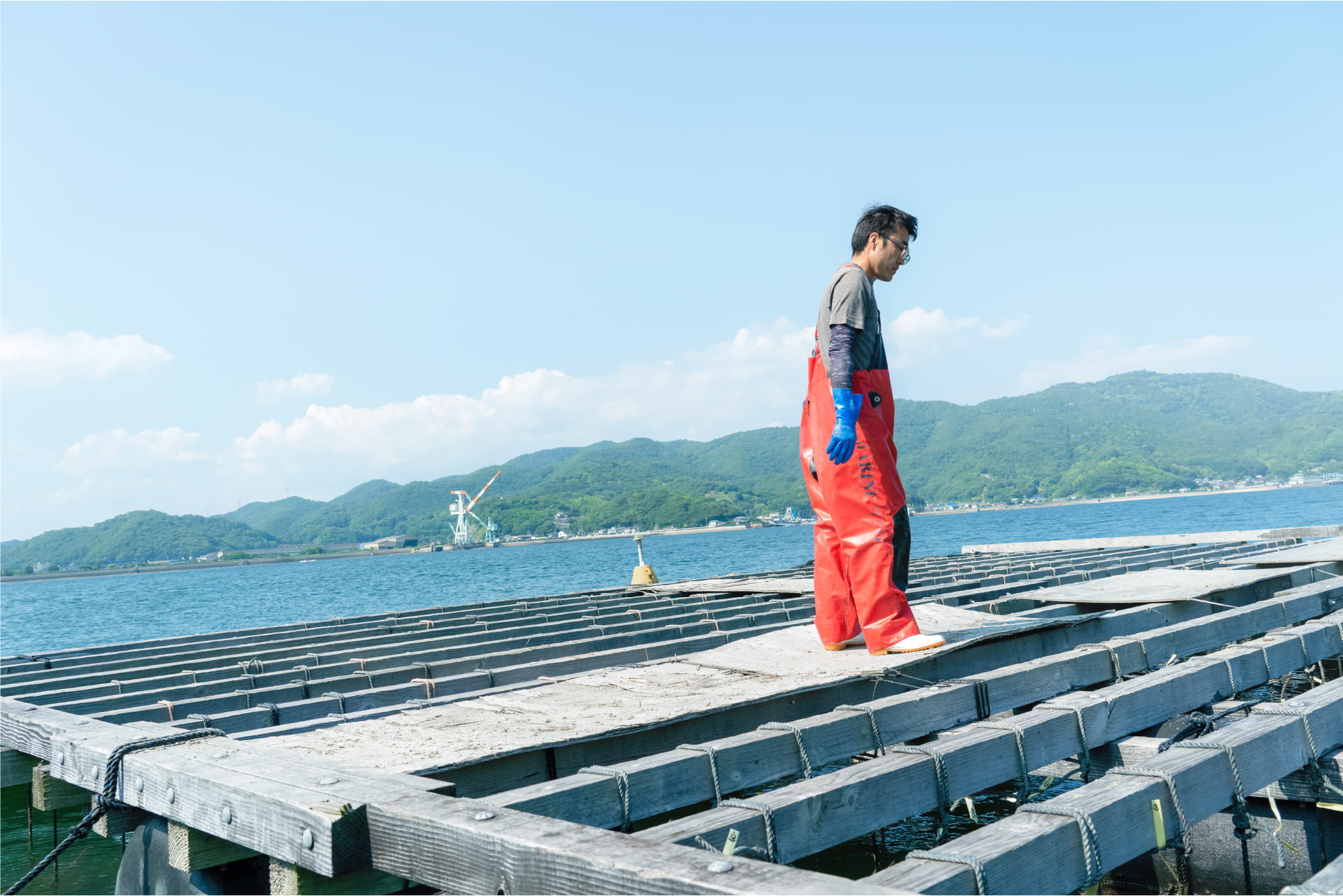マルコ水産の画像