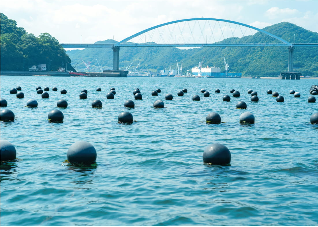 海の画像
