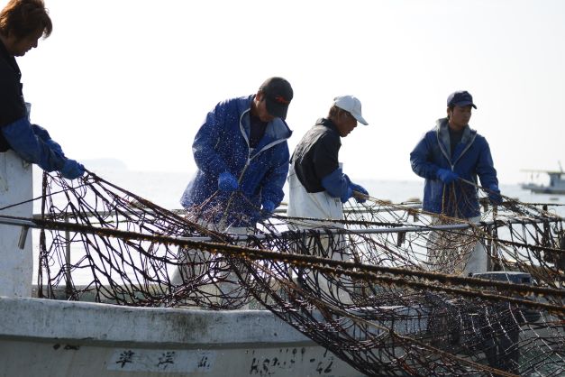 マルコ水産 新着情報 画像