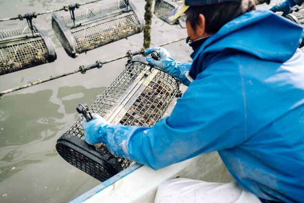 マルコ水産 新着情報 画像