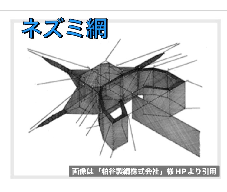 マルコ水産 新着情報 画像