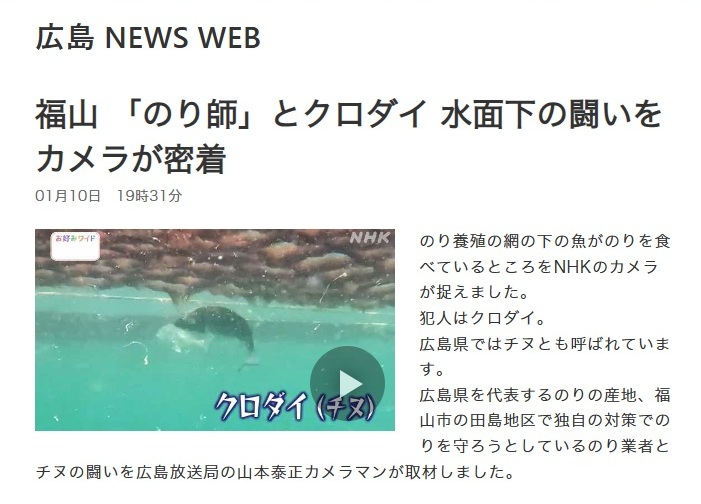 マルコ水産 新着情報 画像!no!